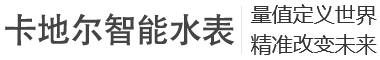 卡地尔水表（广东）有限公司
